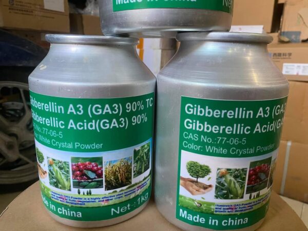 GIBBERELLIC ACID GA3