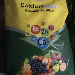 Calcium Nitrate Granular