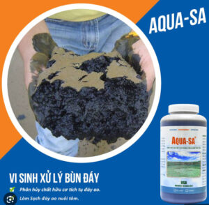 Vi Sinh Xử Lý Bùn Đáy Aqua Sa