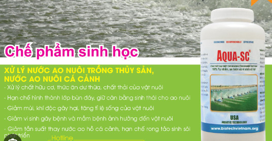 Chế Phẩm Sinh Học Và Vi Sinh Thủy Sản AQUA-SC