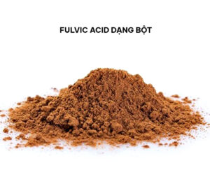 Axit Fulvic (Fulvic Acid) 